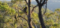 20060430-RedHill 011